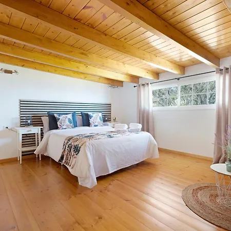 Ferienhaus Casa Evarista Icod De Los Vinos
